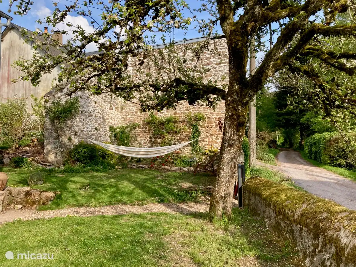 Sheltered in the hammock
