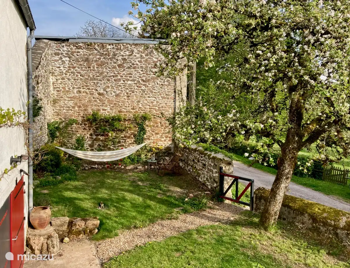 You can't see through the wall