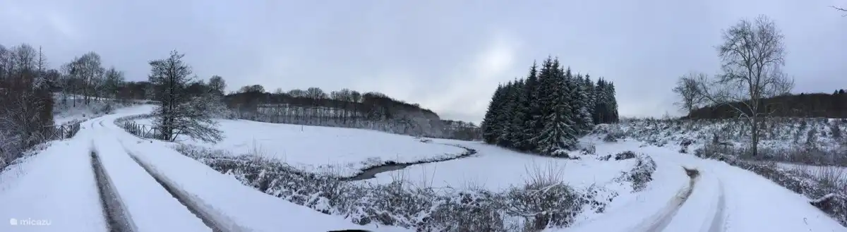 Looking for animal tracks in the snow...