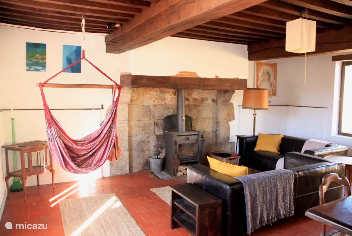 The living room with stove and hanging chair