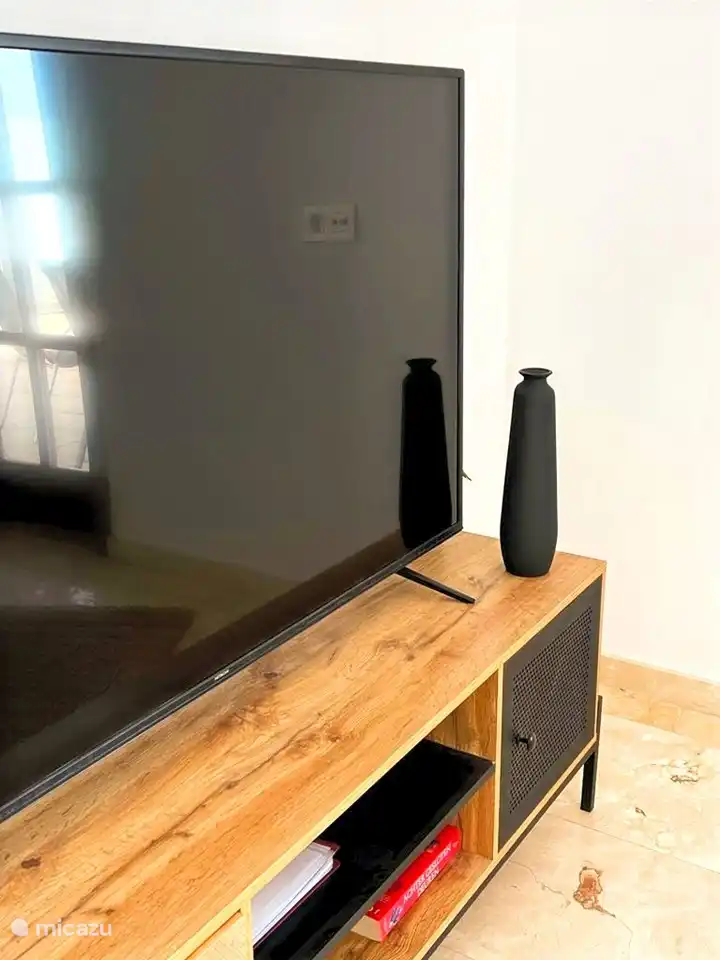 Hitachi 55&#39; smart TV, with Belgian, Dutch, German, French and UK TV channels, including subscription to Netflix, or stream your own digital TV subscription from home via the built-in chromecast.