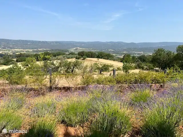 Location de Vacances France, Vaucluse, Roussillon, maison de vacances - Les Garances Vue des Garances