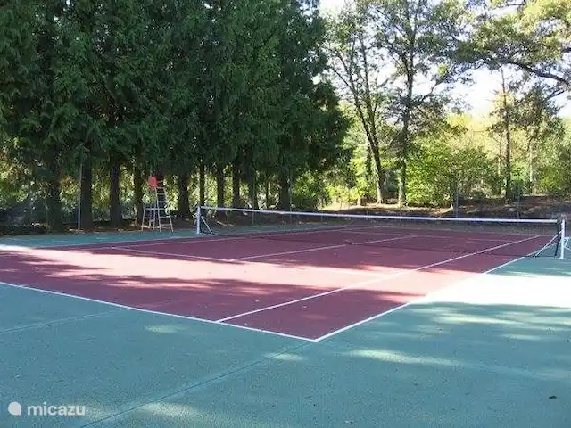 Mobil-home Château Le Verdoyer **** | France, Dordogne, Champs-Romain - mobil-home Aimez-vous un jeu de tennis? Le camping dispose d'un superbe terrain de tennis !