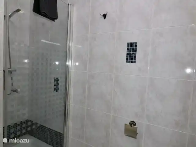 Casa Pajarera | Espagne, Costa Blanca, Ciudad Quesada - maison de vacances Salle de bain avec douche