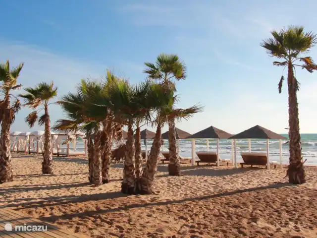 Casa Pajarera | Espagne, Costa Blanca, Ciudad Quesada - maison de vacances Plage Guardamar