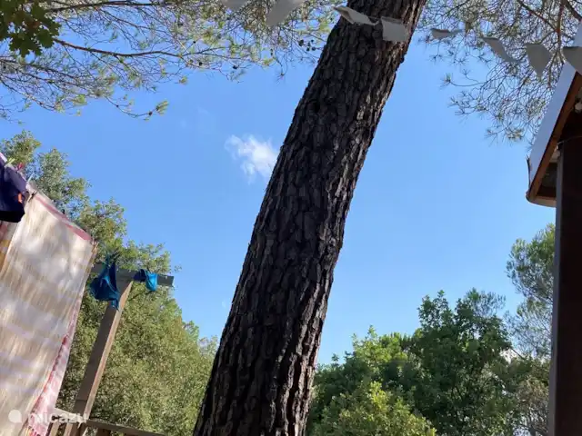chalet en Francia, Costa Azul, Roquebrune-sur-Argens – La vie est belle Sombra de tu propio árbol