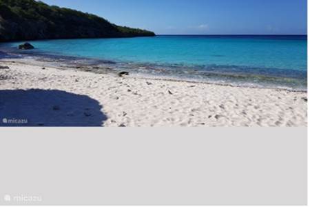 Vous trouverez de nombreuses belles plages ici à Curaçao 