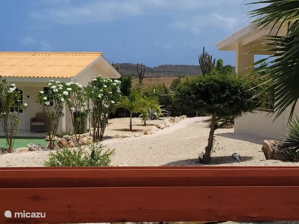 De l'arrière de la maison, vous pouvez regarder directement dans la réserve naturelle de Koraal Tabak.