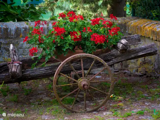 Apartamento Mandorlo - Podere Monti en Italia, Toscana, Casole d'Elsa - casa vacacional Monte 1824