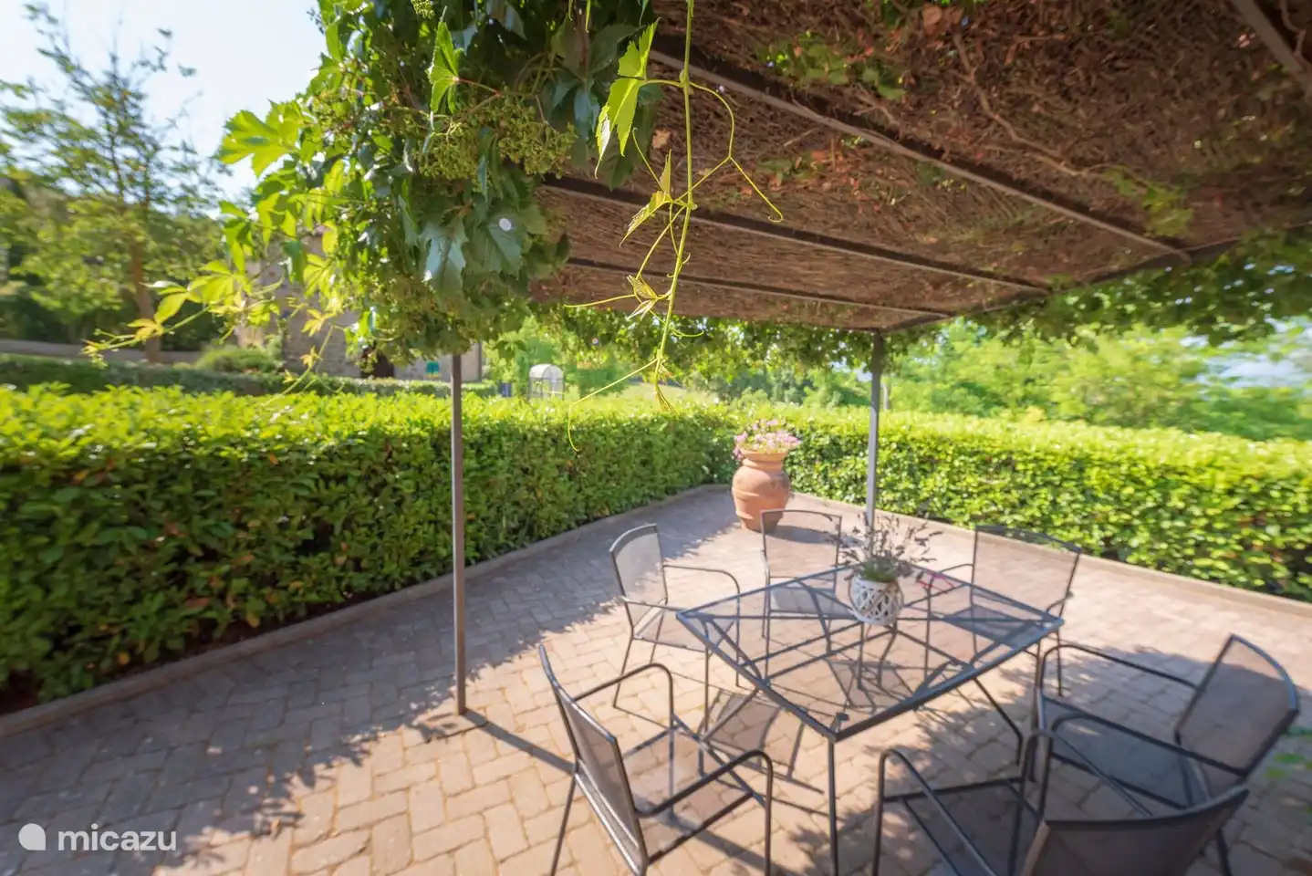 Patio avec table Appartement Mandorlo - Monti 1824