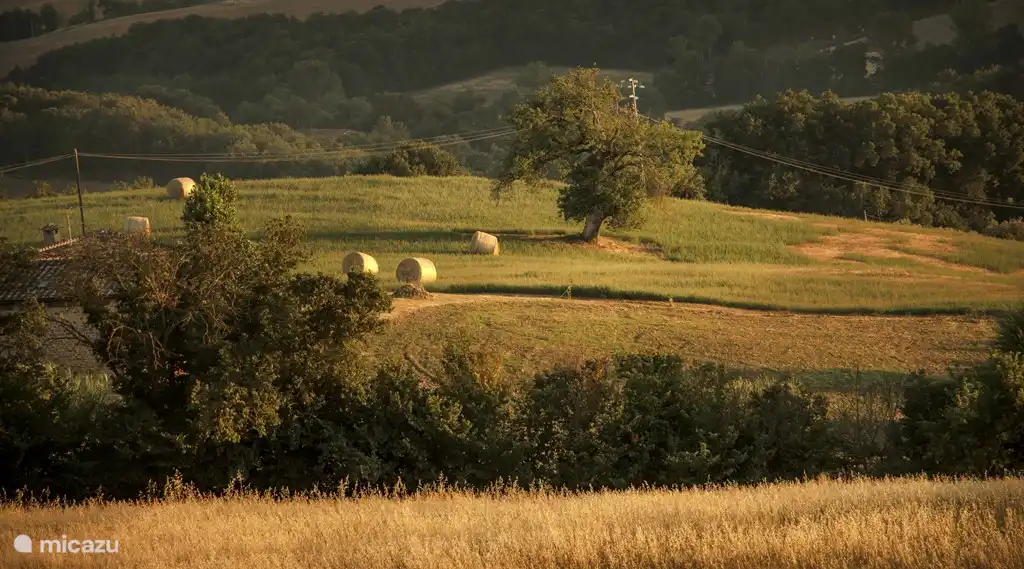 vue panoramique depuis Monti 1824