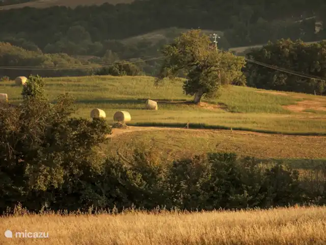 Apartamento Mandorlo - Podere Monti en Italia, Toscana, Casole d'Elsa - casa vacacional vista panorámica desde Monti 1824