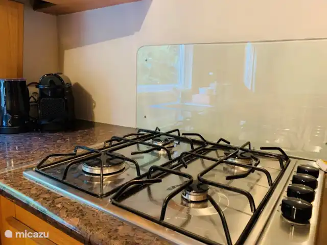Cottage Sillie à 5* Krieghuusbelten | Pays-Bas, Overijssel, Raalte - chalet