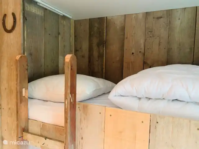 Cottage Sillie à 5* Krieghuusbelten | Pays-Bas, Overijssel, Raalte - chalet