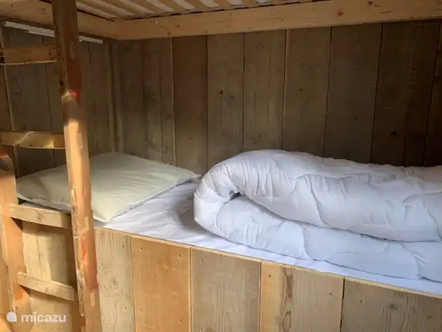 Cottage Sillie à 5* Krieghuusbelten | Pays-Bas, Overijssel, Raalte - chalet
