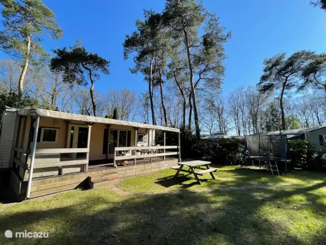 Cottage Sillie à 5* Krieghuusbelten | Pays-Bas, Overijssel, Raalte - chalet