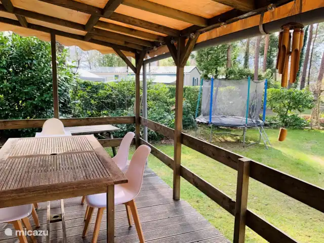 Cottage Sillie à 5* Krieghuusbelten | Pays-Bas, Overijssel, Raalte - chalet