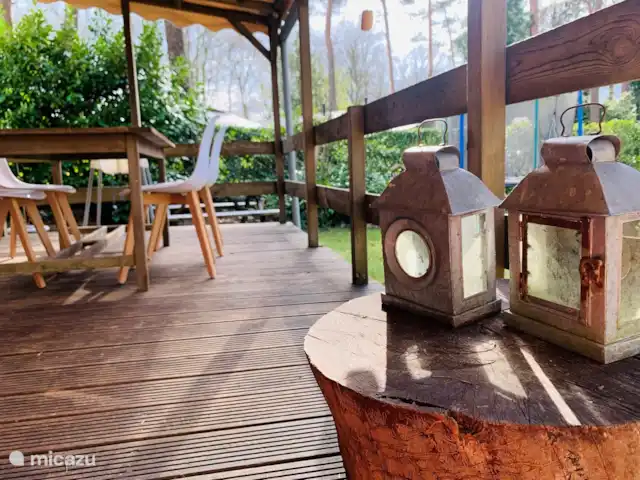 Cottage Sillie à 5* Krieghuusbelten | Pays-Bas, Overijssel, Raalte - chalet