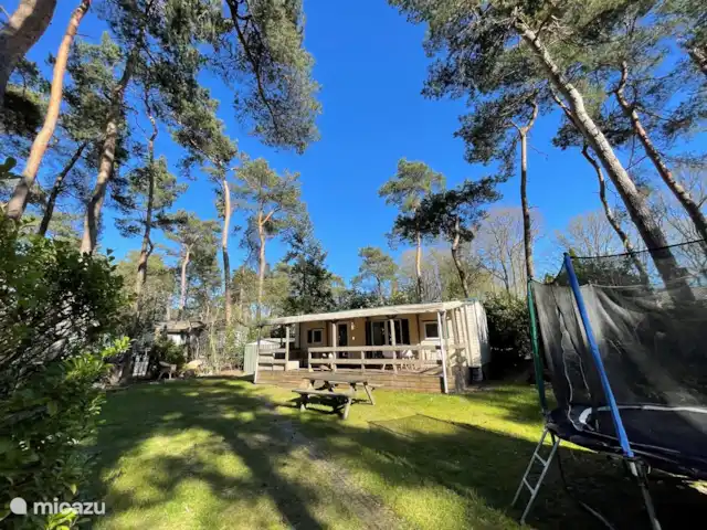 Cottage Sillie à 5* Krieghuusbelten | Pays-Bas, Overijssel, Raalte - chalet Cottage Sillie à 5* Krieghuusbelten | Pays-Bas, Overijssel, Raalte - chalet