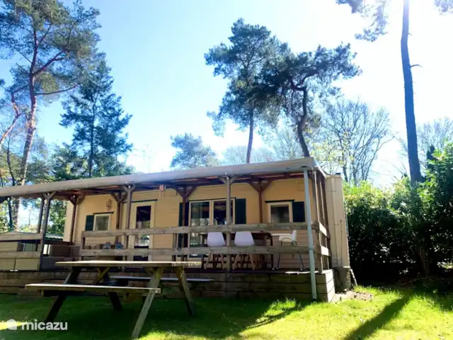 Cottage Sillie à 5* Krieghuusbelten | Pays-Bas, Overijssel, Raalte - chalet