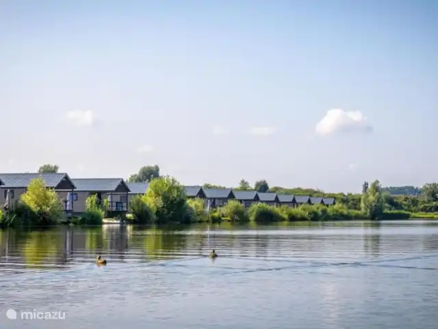 Cottage Sillie à 5* Krieghuusbelten | Pays-Bas, Overijssel, Raalte - chalet