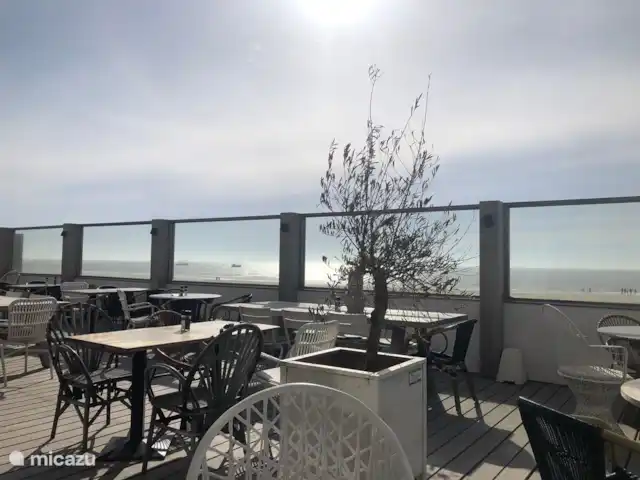 Meno Mossó en Países Bajos, Holanda del Norte, Sint Maartensvlotbrug - bungaló