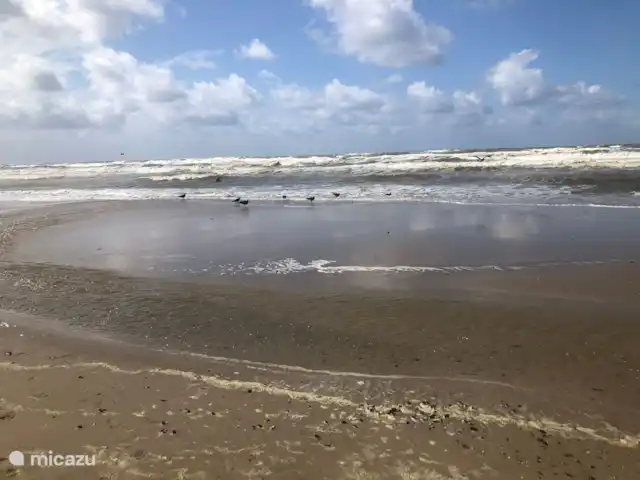 Meno Mossó en Países Bajos, Holanda del Norte, Sint Maartensvlotbrug - bungaló