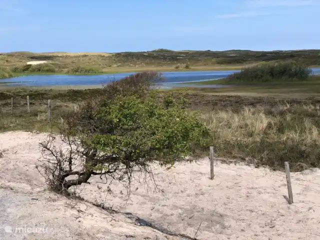 Meno Mossó en Países Bajos, Holanda del Norte, Sint Maartensvlotbrug - bungaló