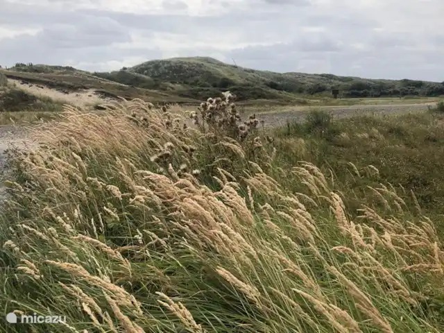 Meno Mossó en Países Bajos, Holanda del Norte, Sint Maartensvlotbrug - bungaló