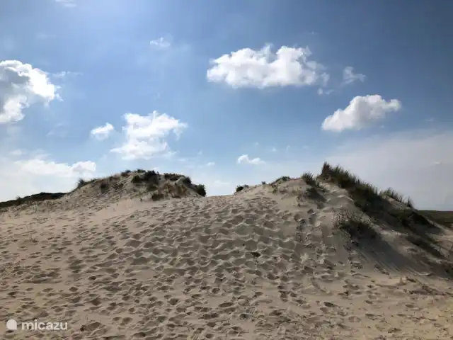 Meno Mossó en Países Bajos, Holanda del Norte, Sint Maartensvlotbrug - bungaló