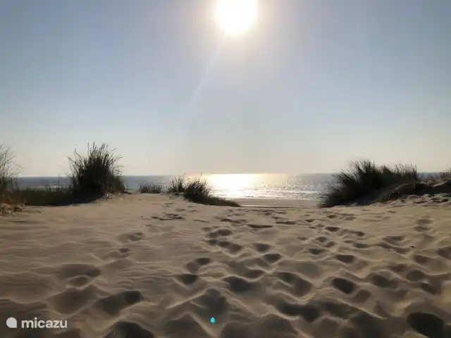 Meno Mossó en Países Bajos, Holanda del Norte, Sint Maartensvlotbrug - bungaló