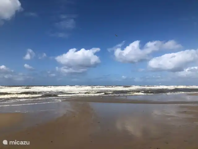 Meno Mossó en Países Bajos, Holanda del Norte, Sint Maartensvlotbrug - bungaló