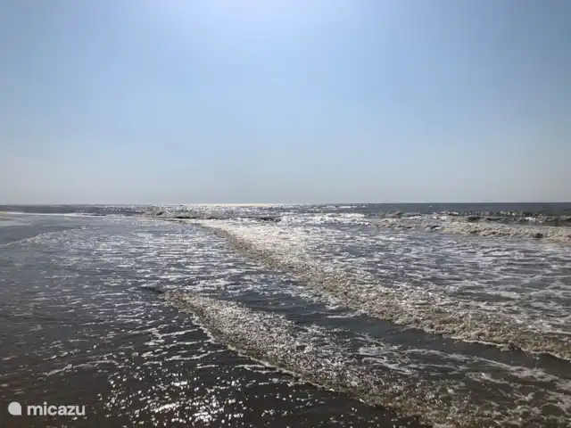 Meno Mossó en Países Bajos, Holanda del Norte, Sint Maartensvlotbrug - bungaló