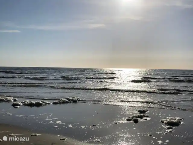 Meno Mossó en Países Bajos, Holanda del Norte, Sint Maartensvlotbrug - bungaló