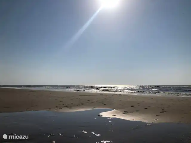 Meno Mossó en Países Bajos, Holanda del Norte, Sint Maartensvlotbrug - bungaló