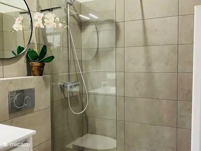 Casa do Cerro Rental huren in Portugal, Algarve, Carvoeiro - appartement Kleine badkamer