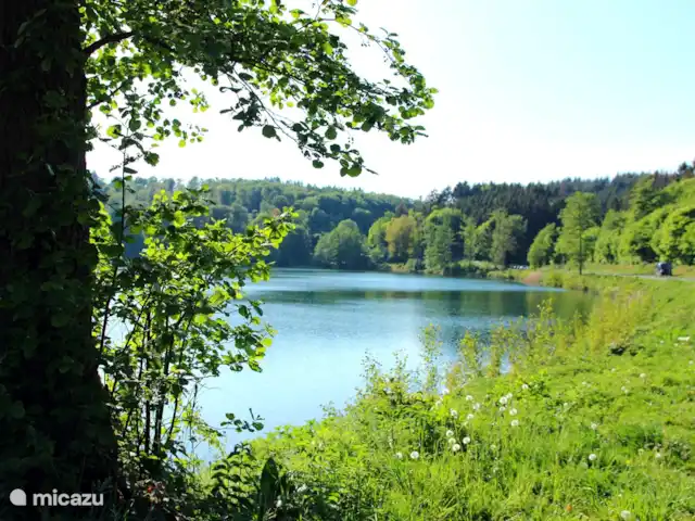 4 persoons vakantiehuis Pulvermaar huren in Duitsland, Eifel, Gillenfeld - vakantiehuis Wandelroute rondom het Pulvermaar van 2,3 km.