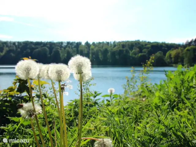 4 persoons vakantiehuis Pulvermaar huren in Duitsland, Eifel, Gillenfeld - vakantiehuis Een plek om te ontspannen en te bewegen.