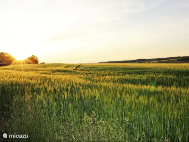 4 persoons vakantiehuis Pulvermaar huren in Duitsland, Eifel, Gillenfeld - vakantiehuis Prachtige uitzichten vanaf het vakantiepark.