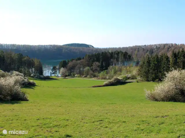 4 persoons vakantiehuis Pulvermaar huren in Duitsland, Eifel, Gillenfeld - vakantiehuis Uitzicht op het Pulvermaar.
