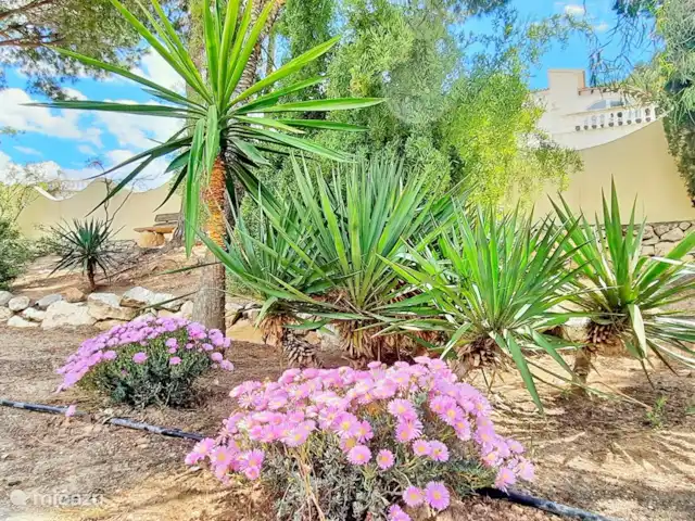 Villa La Belita | Espagne, Costa Blanca, Moraira - villa