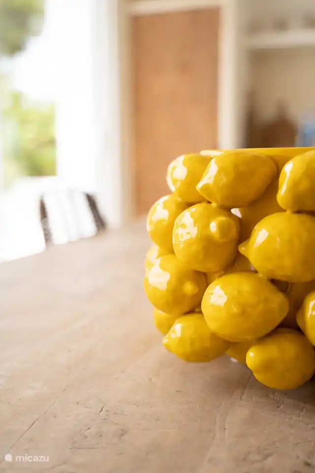 When lives gives you lemons...