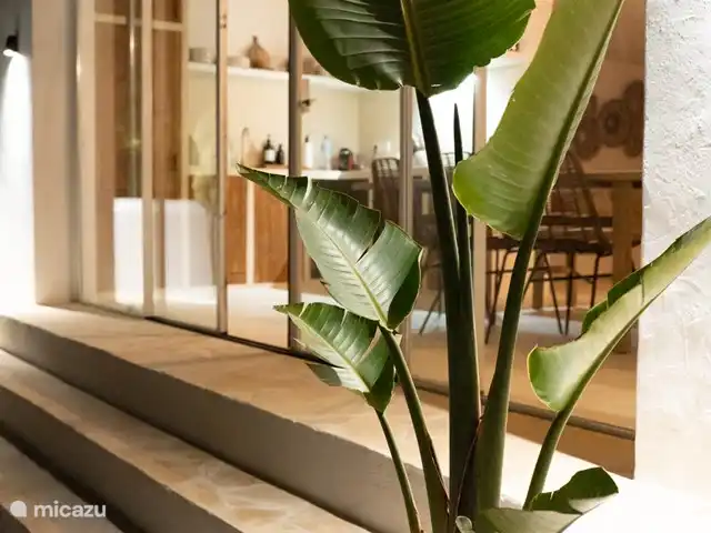 Sueño. Casa Ana María en España, Ibiza, Cala Vadella - bungaló La Casa @ noche