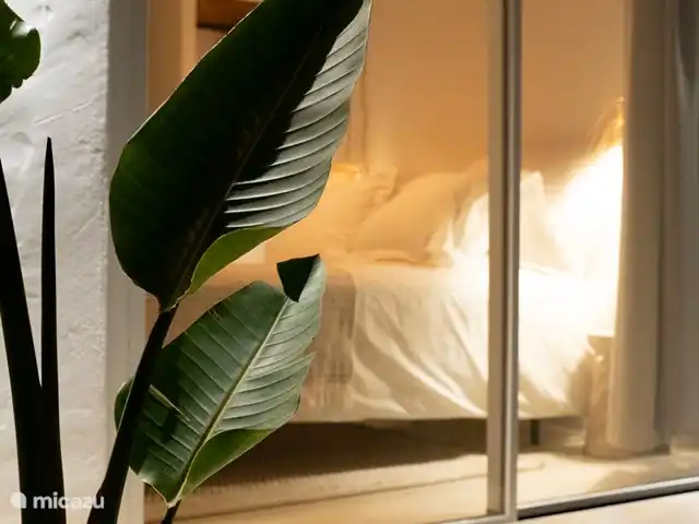 Sueño. Casa Ana María en España, Ibiza, Cala Vadella - bungaló La Casa @ noche