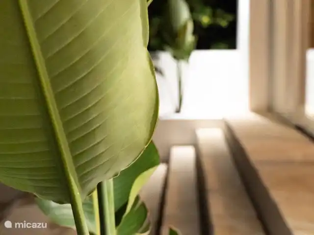 Sueño. Casa Ana María en España, Ibiza, Cala Vadella - bungaló La Casa @ noche