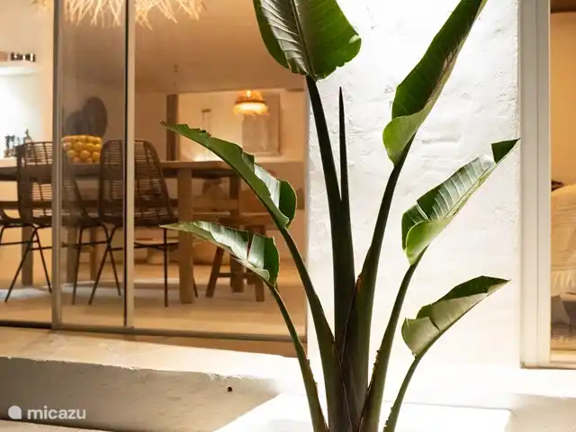 Sueño. Casa Ana María en España, Ibiza, Cala Vadella - bungaló La Casa @ noche