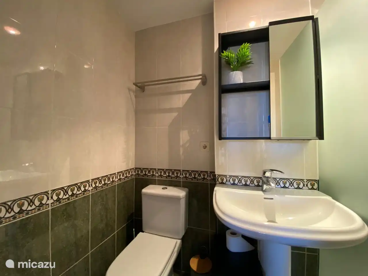 The second bathroom with walk-in shower