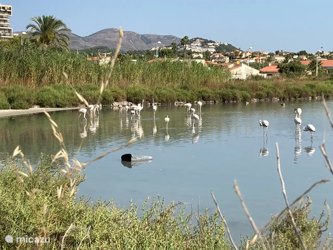 A very nice spectacle on the salt lake