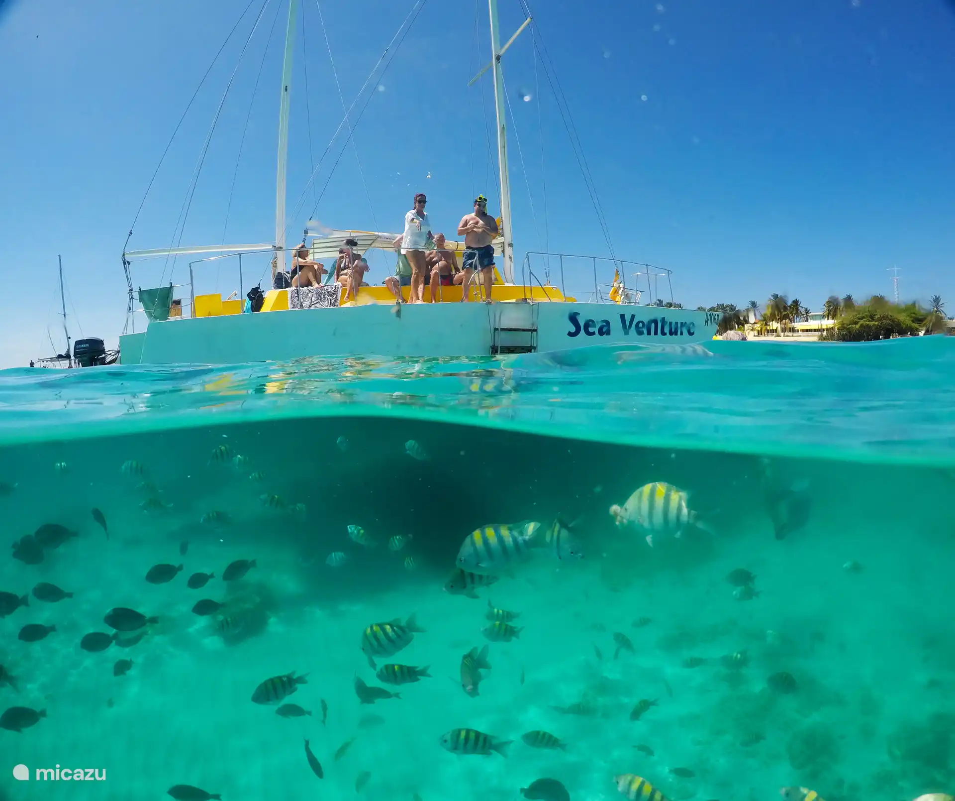 Schnorcheln in kristallklarem Wasser