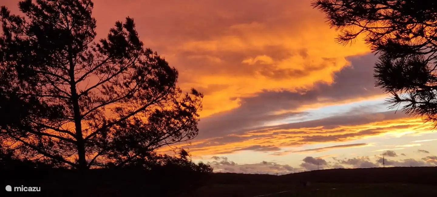 Abendstimmung auf der Terrasse